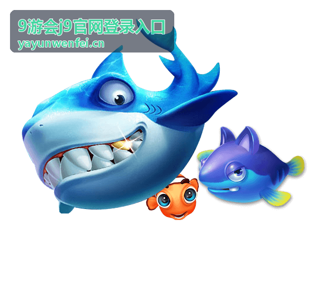 网络环境配置与访问提速建议 - 9游会j9官网登录入口